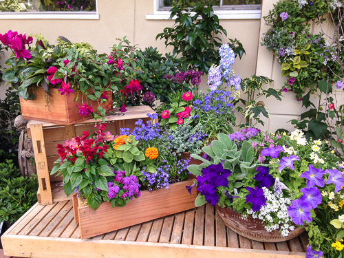 Container Gardening: How to deal with drainage issues