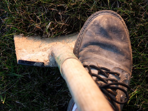 Fire Your Gardener: Save Money (and Get Fit) Doing Your Own Yard Work