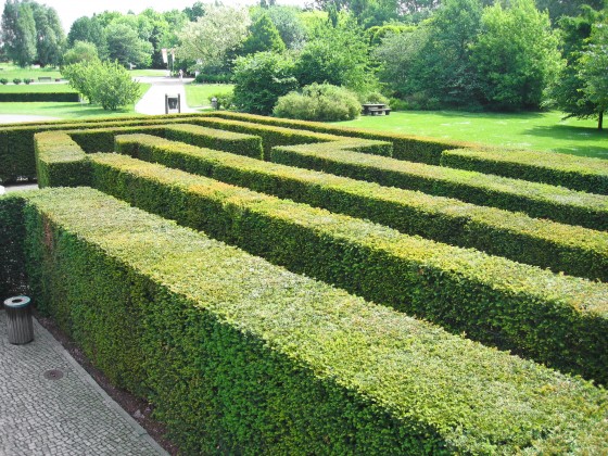 Save Money on Yard Work: Why It Is Worth It