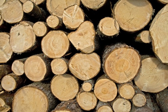 Fire pit vs. Fireplace