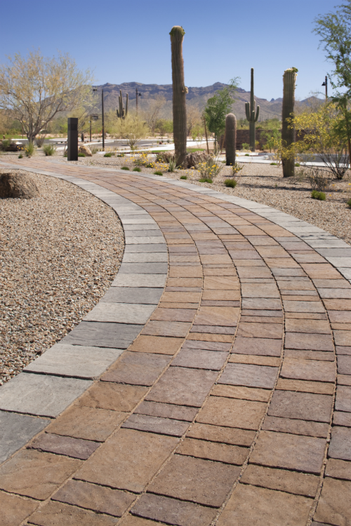 Xeriscaping Low maintenance landscaping