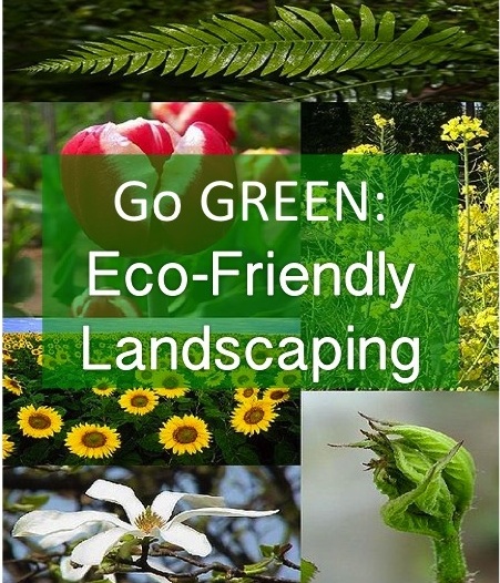Going Green: Eco-friendly Landscaping