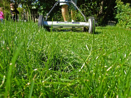 Use energy-saving conservation tools