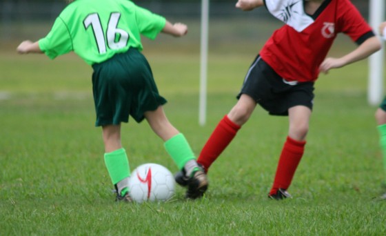 Which Artificial Grass Option Poses Fewer Tripping and Injury Hazards?