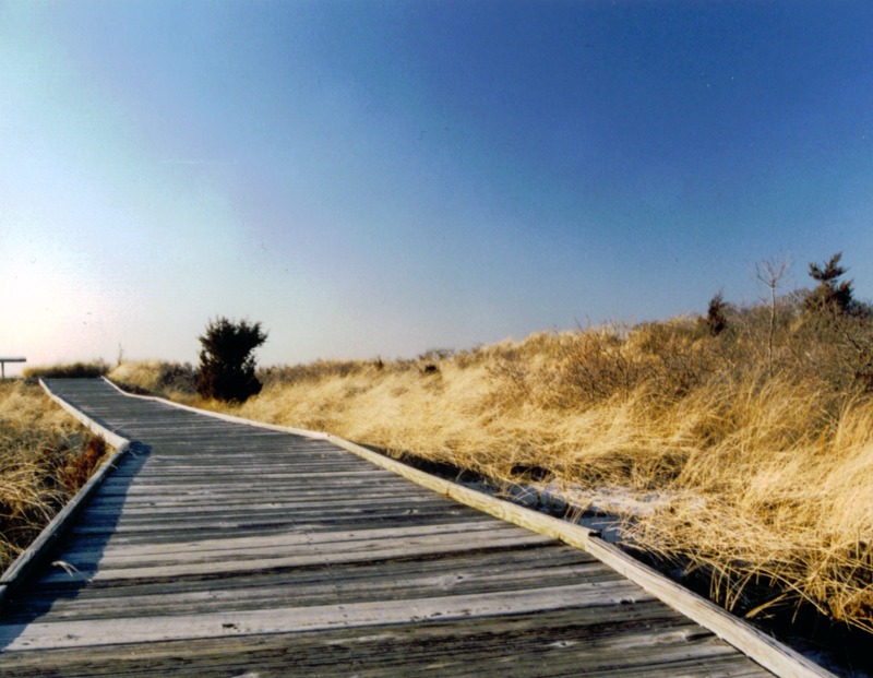 Beach Boardwalk