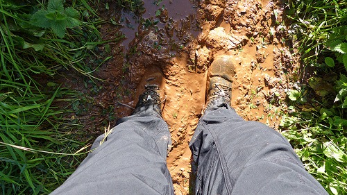 Why Clay Soil Needs TLC