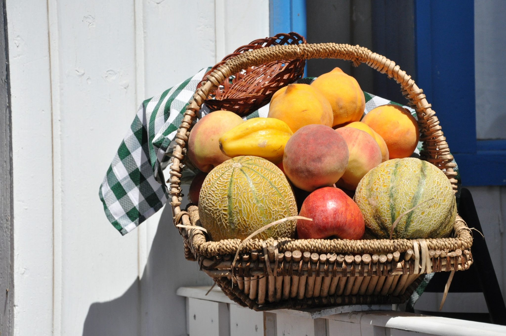 Fruit Trees San Diego