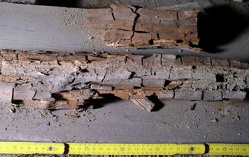 Dry Rot in Southern California
