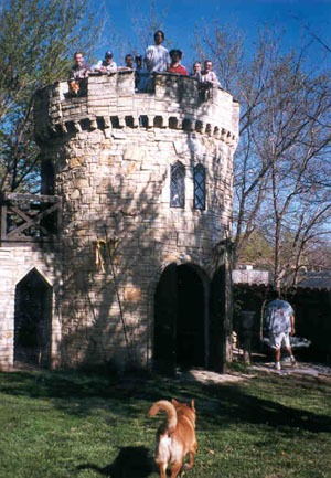 Backyard Castle