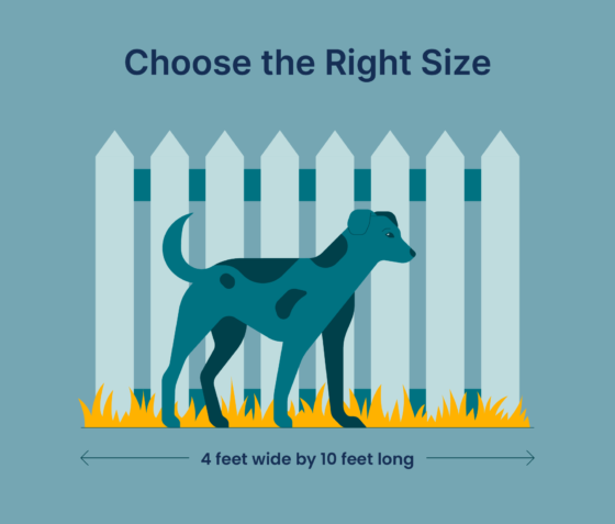 dog run sizing