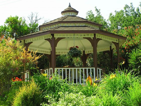 Backyard Theme Parties: Outdoor Party Ideas for Adults