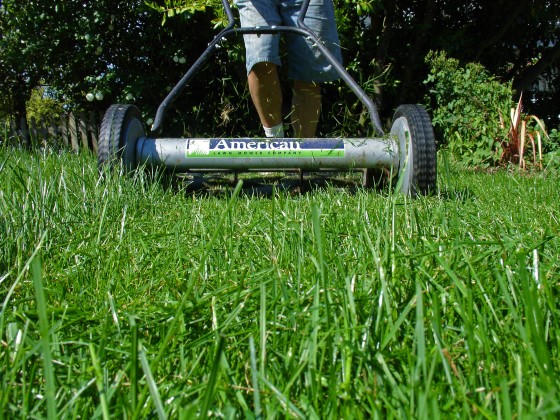 Mowing Grass
