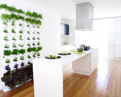 kitchen vertical garden