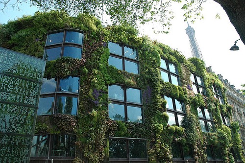 How To Vertical Garden
