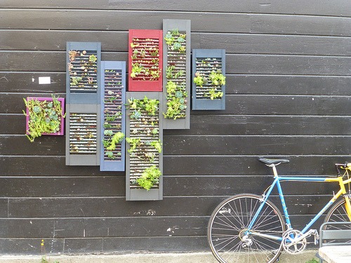 vertical garden made from repurposed shutters