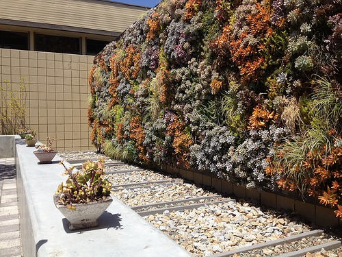 How To Make A Vertical Garden 