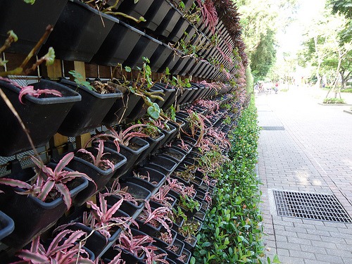vertical garden with hanging planters