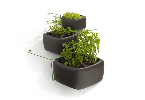 vertical gardening in containers