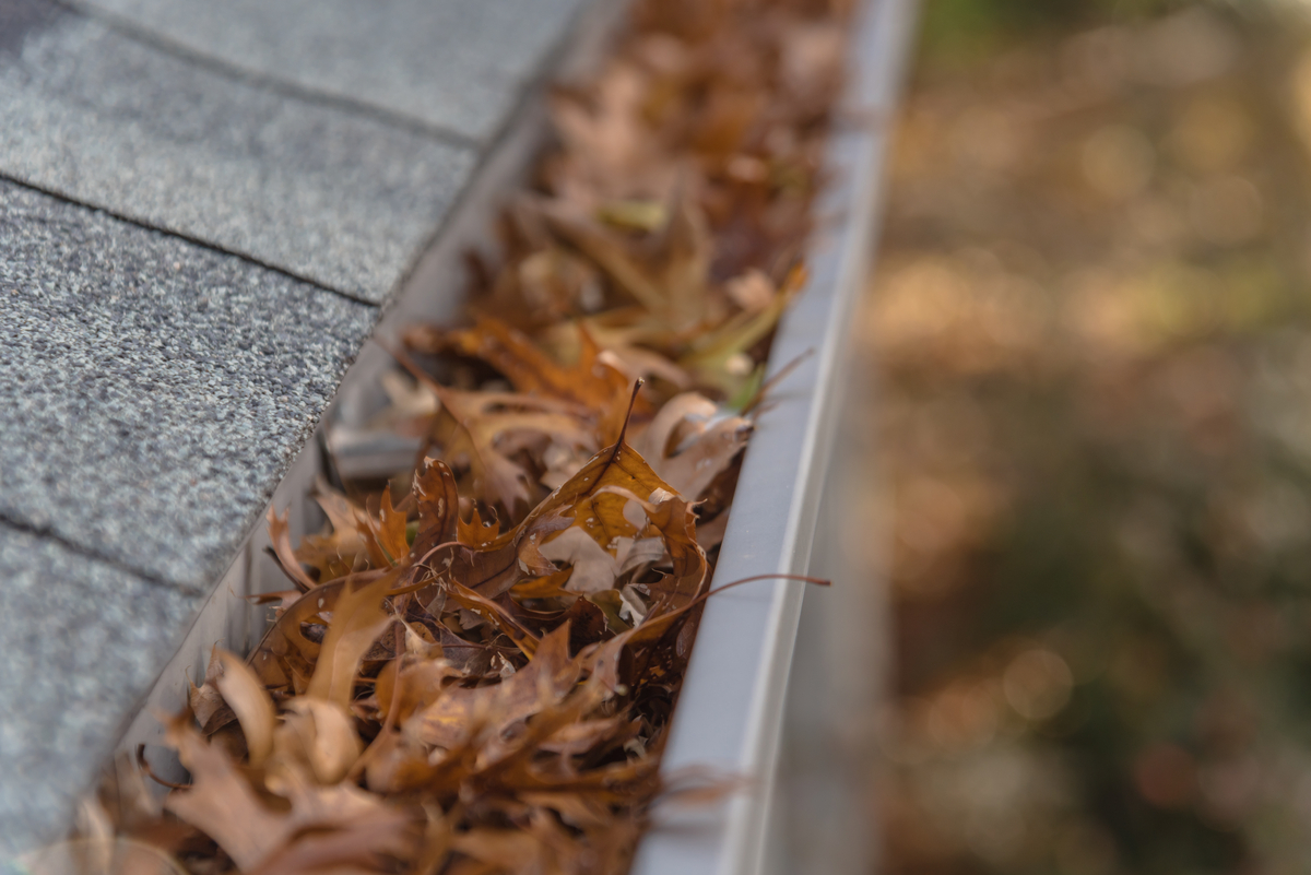 Winterizing Your Southern California Home Gutters