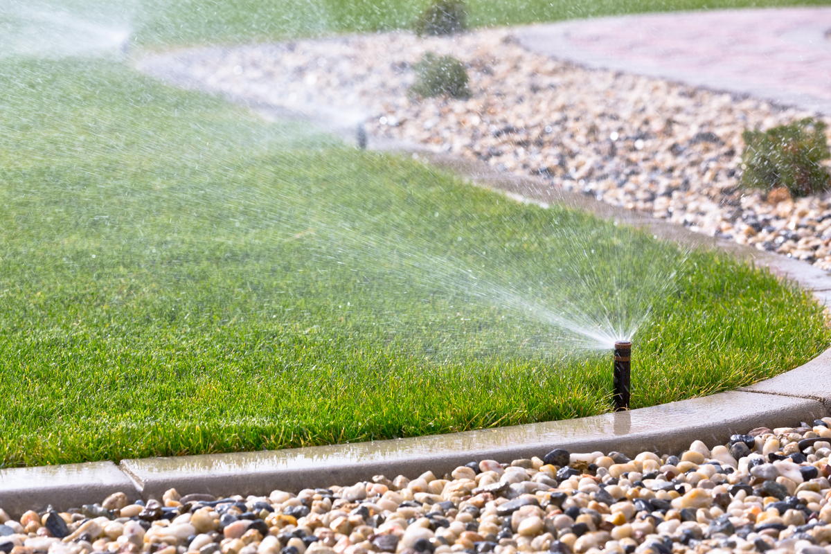 Winterizing Your Southern California Home Lawn