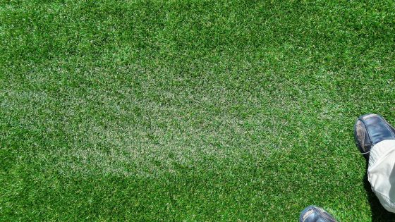 Melting Artificial Turf