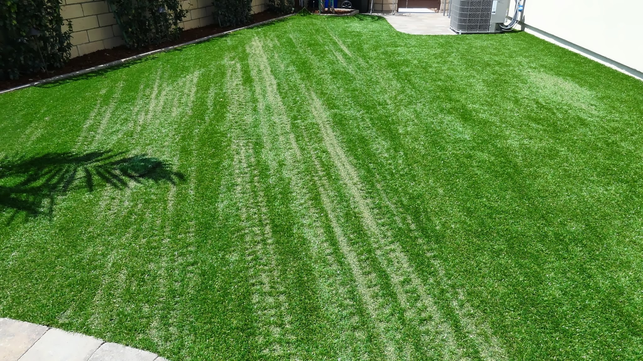 Here is what the Low E windows did to the Synthetic Turf