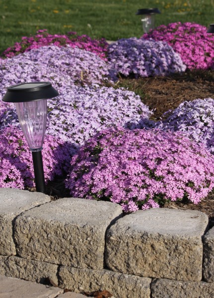 Solar Landscape Lighting