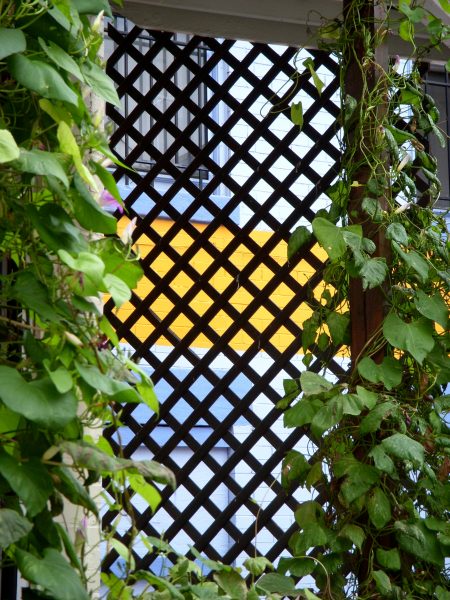 Trellis
