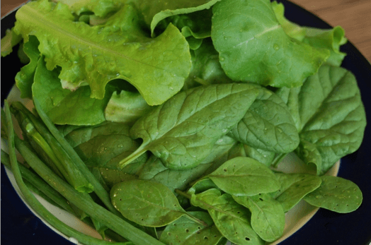Arugula