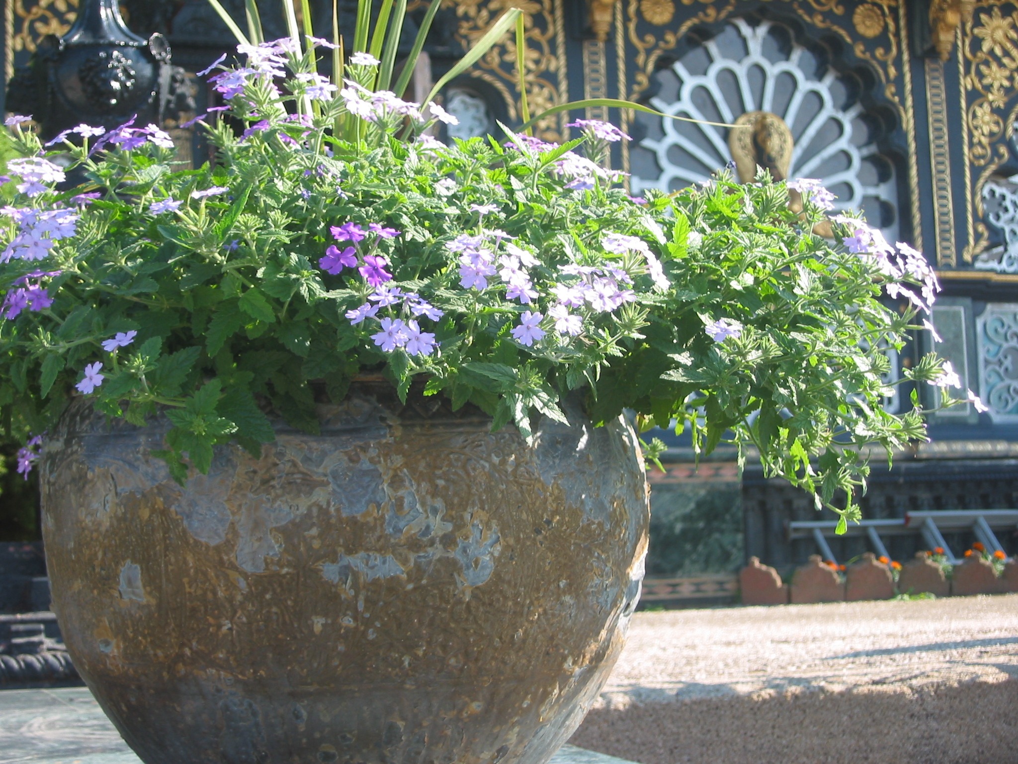 Flower Pot