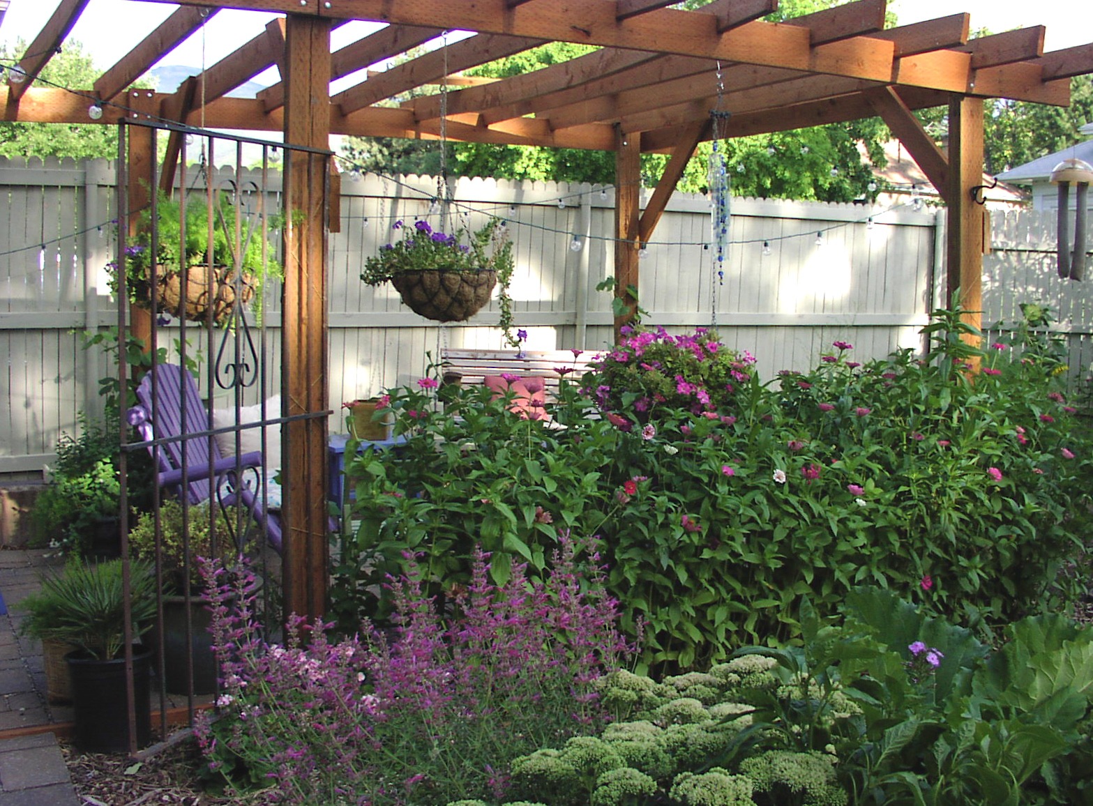 pergola with hanging plants