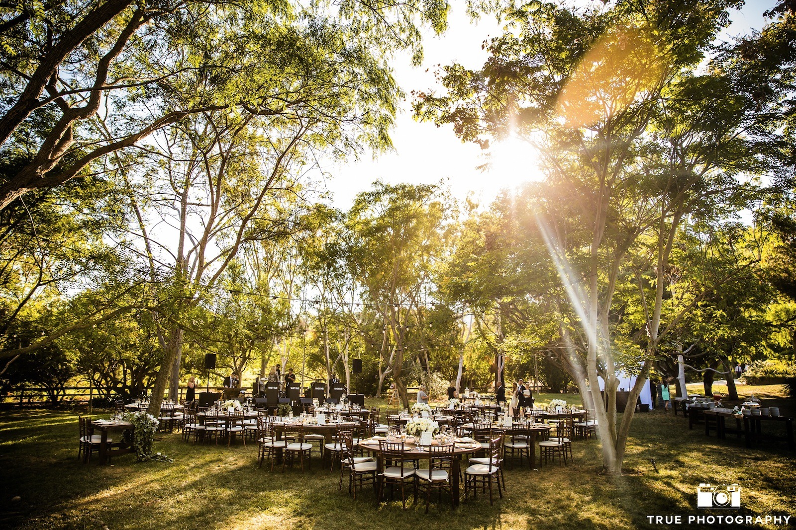backyard wedding venues in san diego