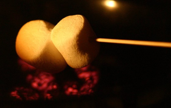 Roasting Marshmallows