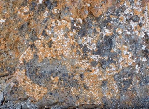 Removing Mold from Outdoor Surfaces