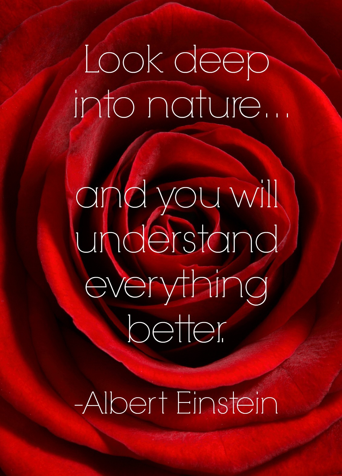 best gardening quotes Albert Einstein