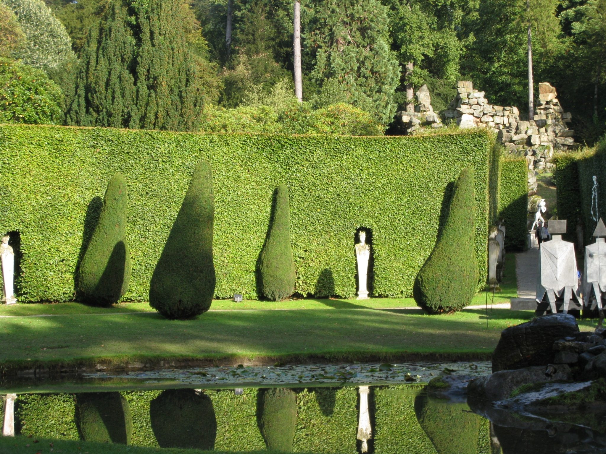 Hedges make great fences - and great fence coverings.