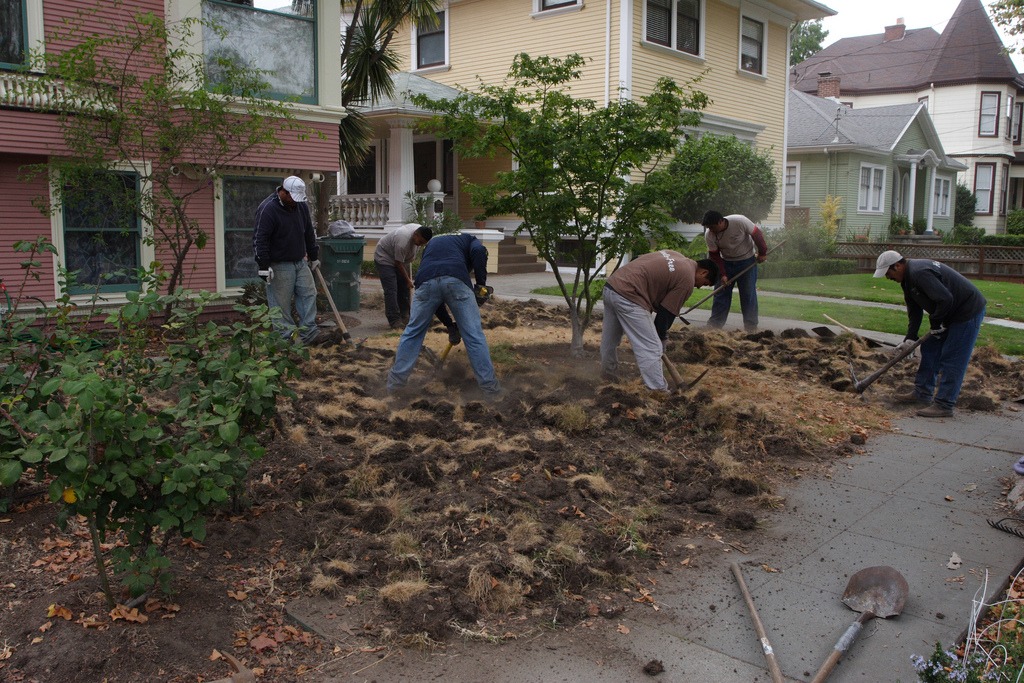 Turf Replacement Rebate California