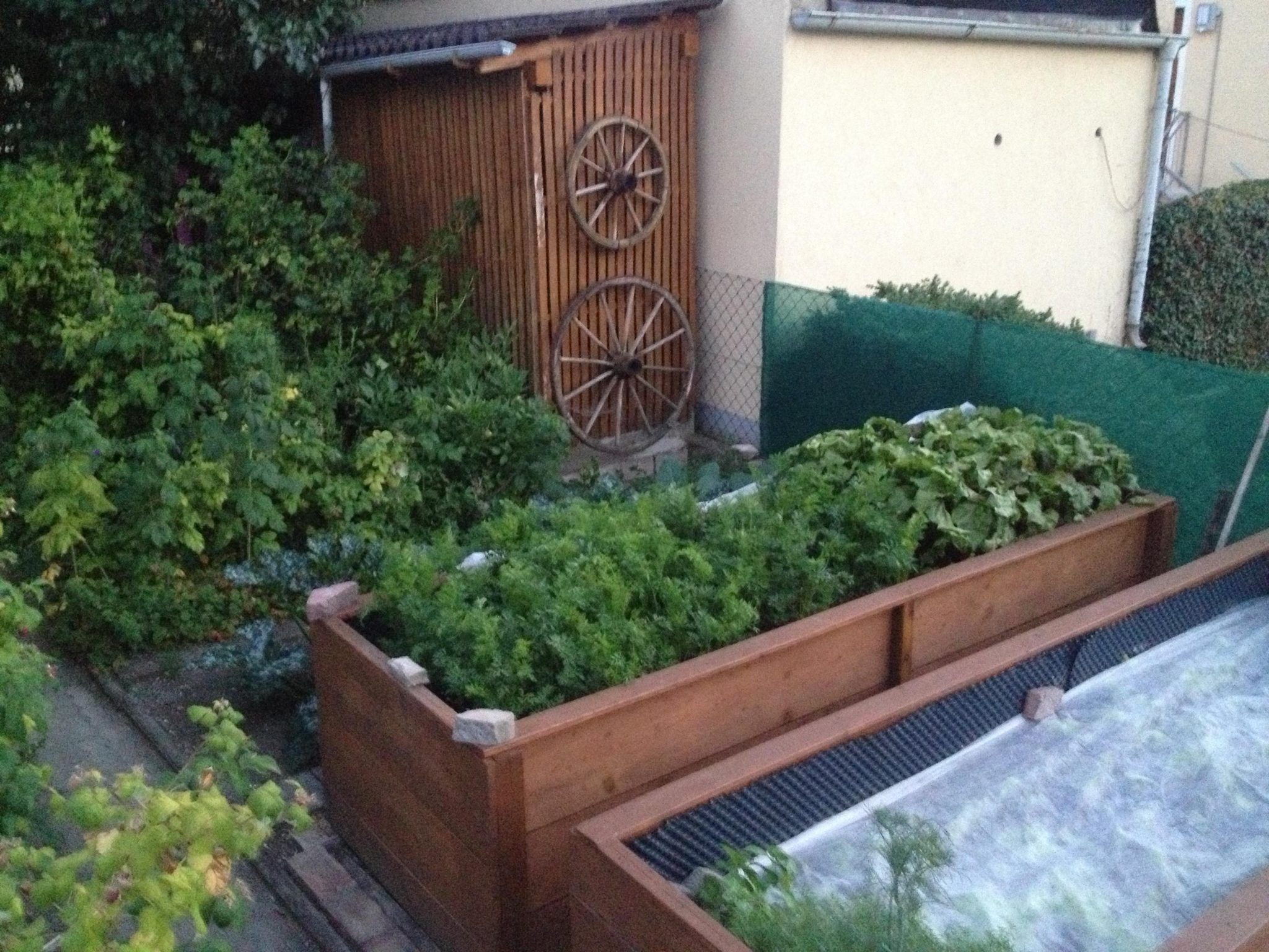 Maximize Garden Space For Urban Farming, How To Maximize Small Garden Space