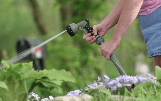 spring clean - lawns