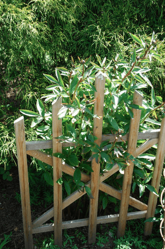 How to spruce up your backyard