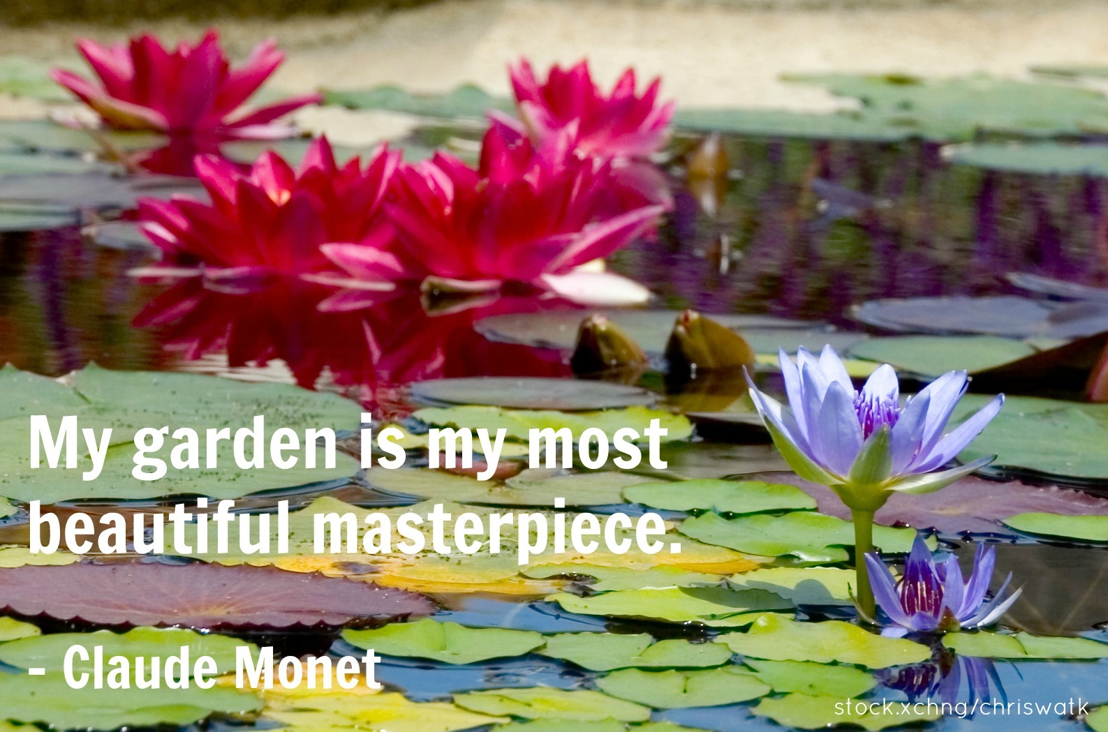 Claude Monet gardening quote