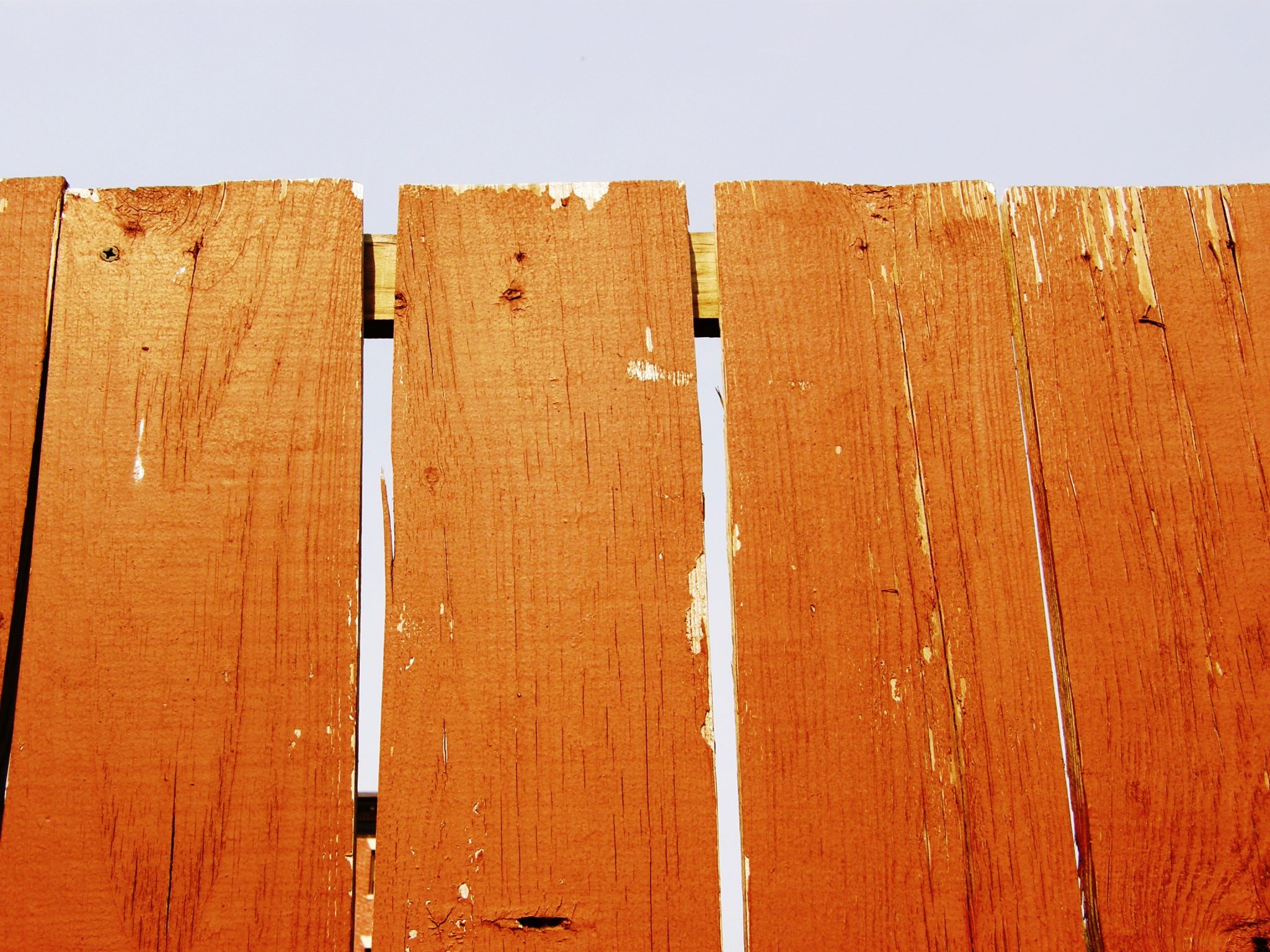 how to hide an ugly fence