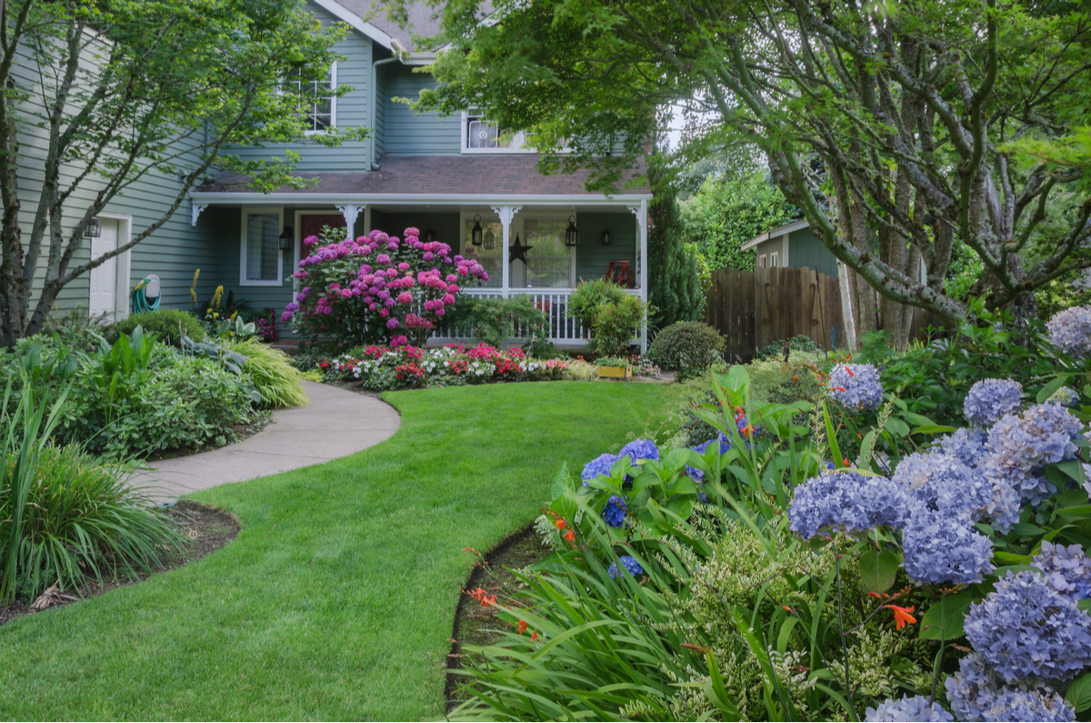 Common Landscape Mistakes and How to Avoid Them