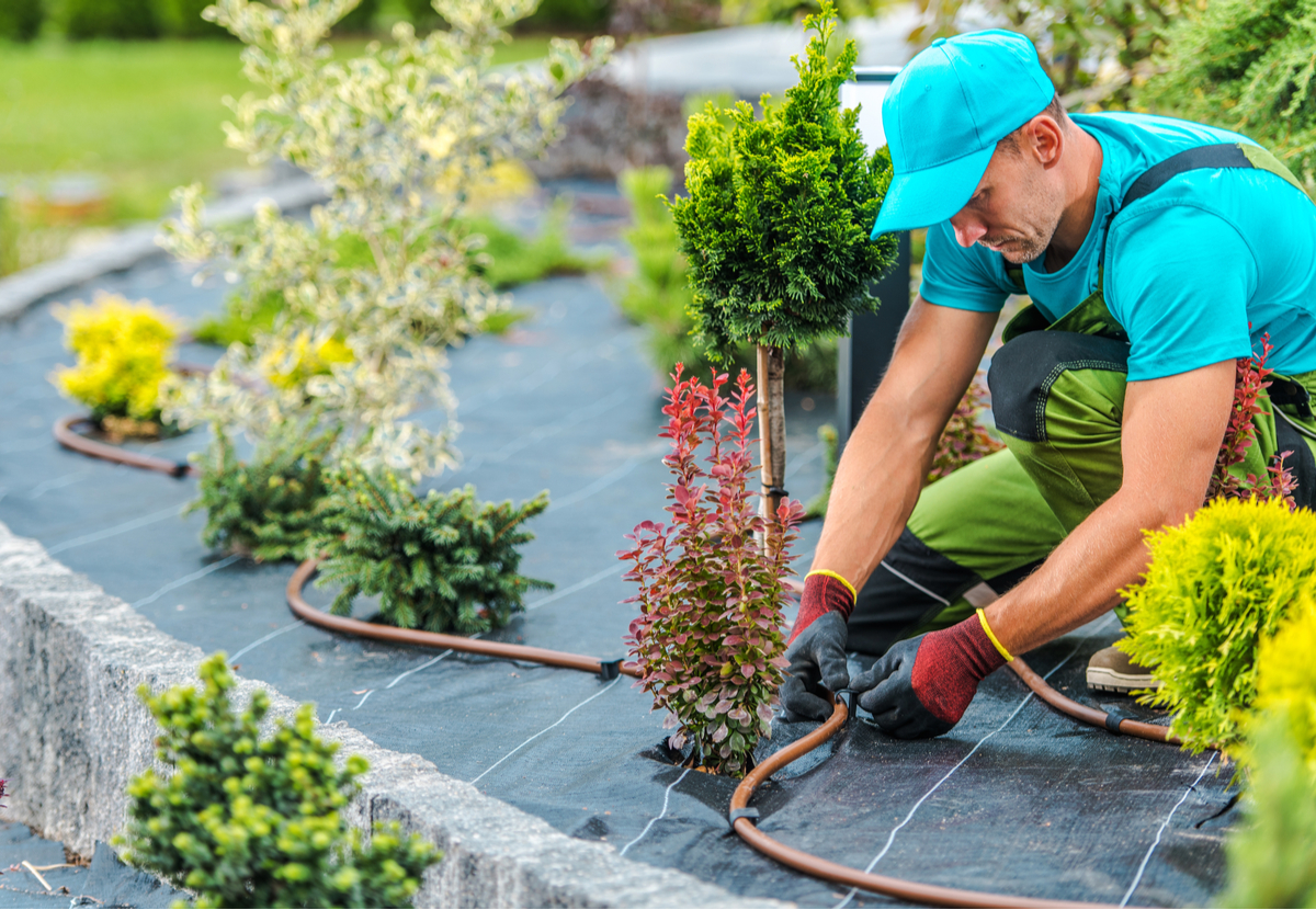 Landscaping Mistakes How to Avoid Them