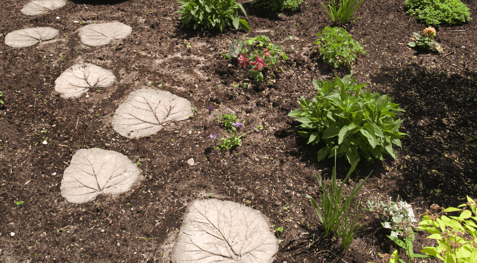 shaped paving stones