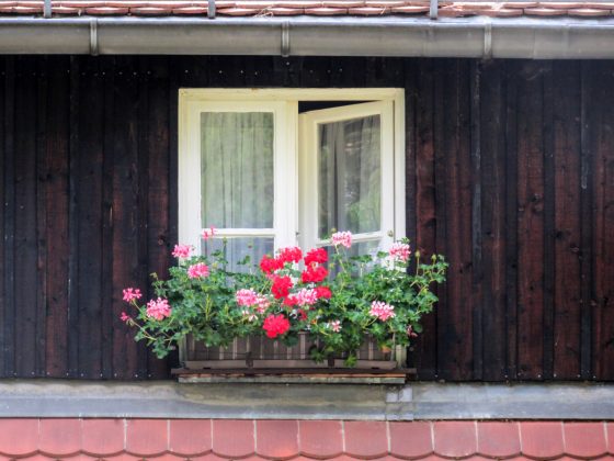 Window Box