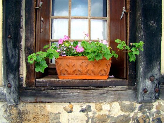 Containers can be placed on wide windowsills.