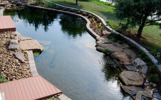 Natural Swimming Pools II