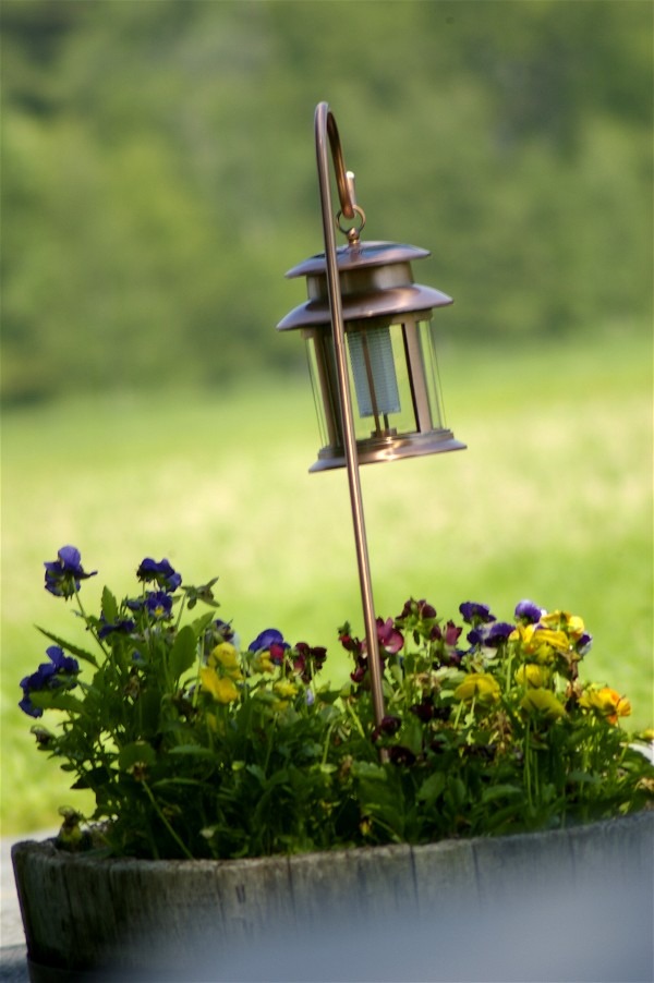 Solar Landscape Lighting 