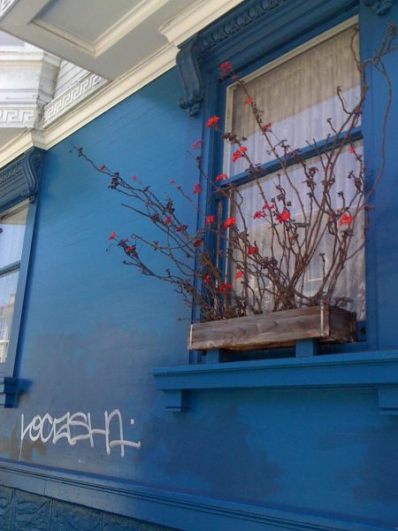 Window Boxes Spruce up City Streets